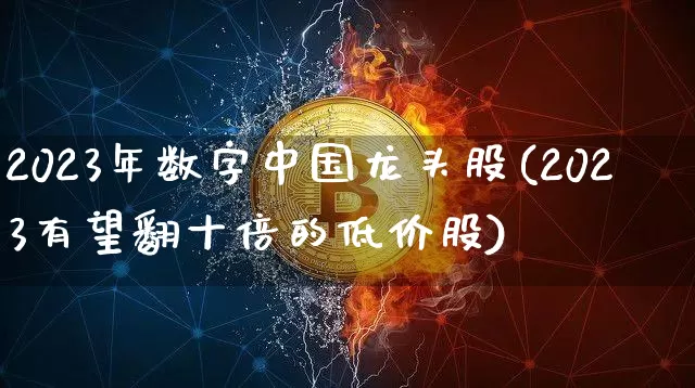 2023年数字中国龙头股(2023有望翻十倍的低价股)_https://www.czytfl.com_期货走势_第1张