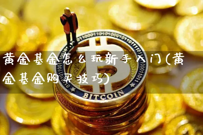 黄金基金怎么玩新手入门(黄金基金购买技巧)_https://www.czytfl.com_期货价格_第1张