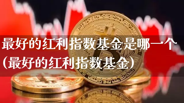 最好的红利指数基金是哪一个(最好的红利指数基金)_https://www.czytfl.com_期货走势_第1张