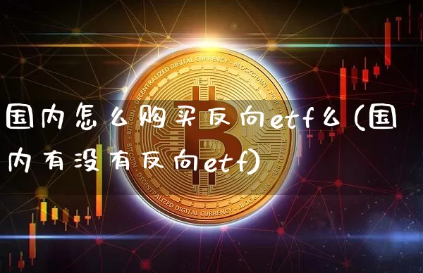 国内怎么购买反向etf么(国内有没有反向etf)_https://www.czytfl.com_期货走势_第1张