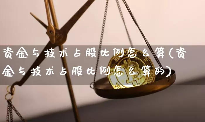 资金与技术占股比例怎么算(资金与技术占股比例怎么算的)_https://www.czytfl.com_期货走势_第1张