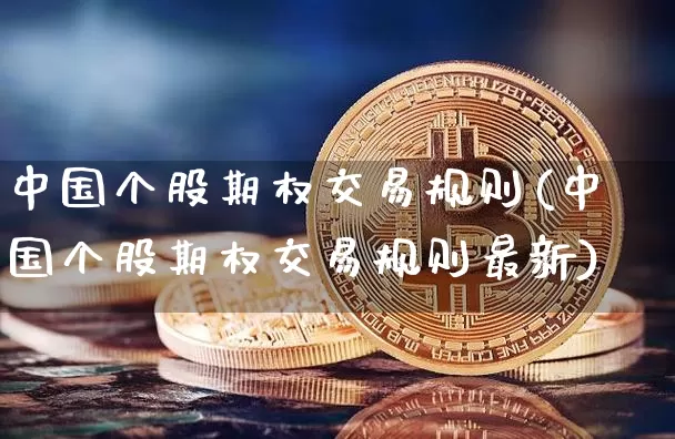 中国个股期权交易规则(中国个股期权交易规则最新)_https://www.czytfl.com_期货价格_第1张