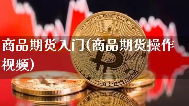 商品期货入门(商品期货操作视频)_https://www.czytfl.com_期货价格_第1张