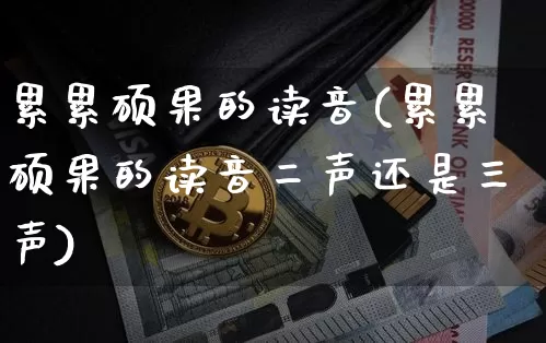 累累硕果的读音(累累硕果的读音二声还是三声)_https://www.czytfl.com_期货行情_第1张