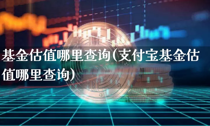 基金估值哪里查询(支付宝基金估值哪里查询)_https://www.czytfl.com_期货行情_第1张