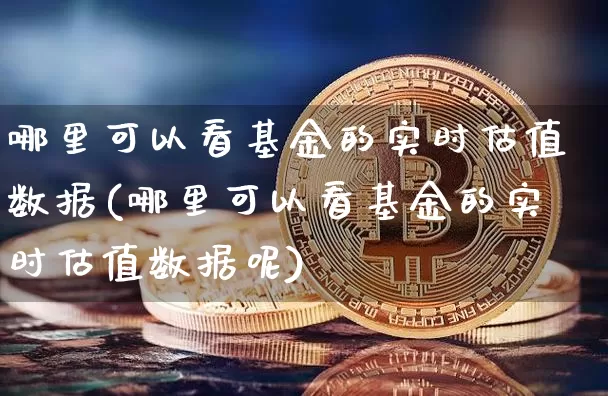 哪里可以看基金的实时估值数据(哪里可以看基金的实时估值数据呢)_https://www.czytfl.com_期货走势_第1张
