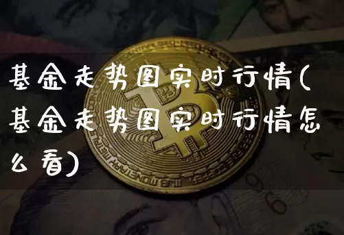 基金走势图实时行情(基金走势图实时行情怎么看)_https://www.czytfl.com_期货价格_第1张