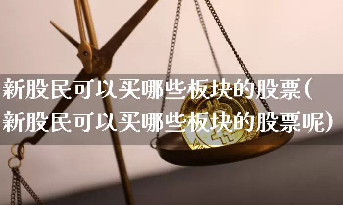 新股民可以买哪些板块的股票(新股民可以买哪些板块的股票呢)_https://www.czytfl.com_期货_第1张