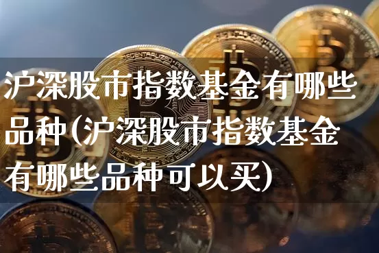 沪深股市指数基金有哪些品种(沪深股市指数基金有哪些品种可以买)_https://www.czytfl.com_期货价格_第1张