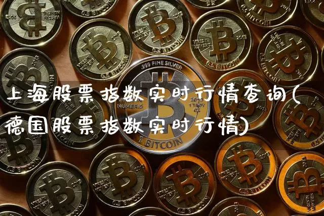 上海股票指数实时行情查询(德国股票指数实时行情)_https://www.czytfl.com_期货价格_第1张