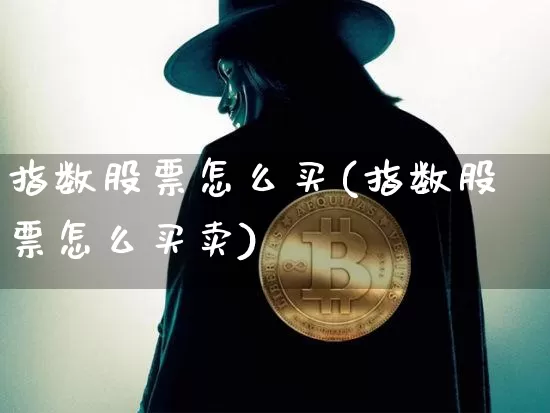 指数股票怎么买(指数股票怎么买卖)_https://www.czytfl.com_期货走势_第1张