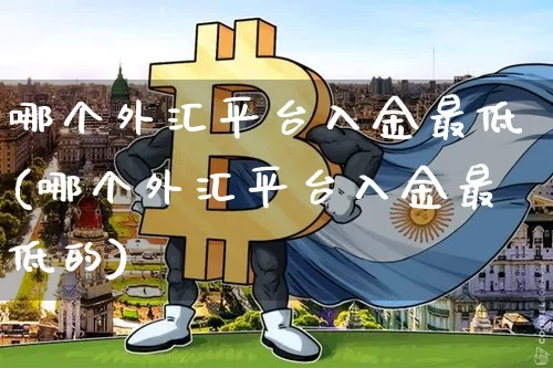 哪个外汇平台入金最低(哪个外汇平台入金最低的)_https://www.czytfl.com_期货行情_第1张