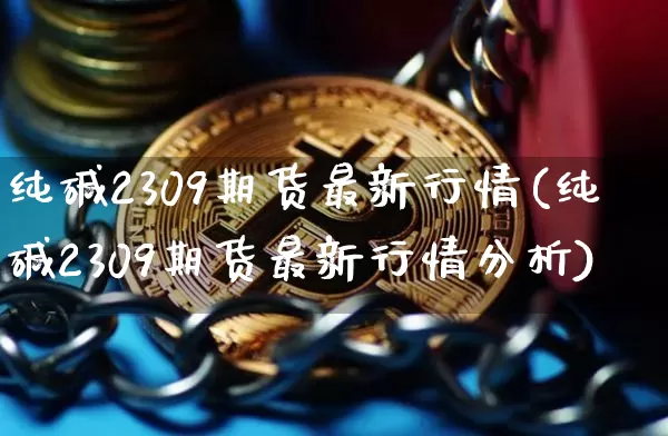 纯碱2309期货最新行情(纯碱2309期货最新行情分析)_https://www.czytfl.com_期货行情_第1张
