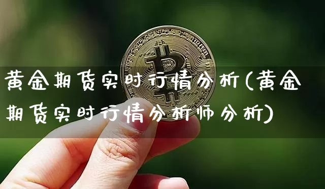 黄金期货实时行情分析(黄金期货实时行情分析师分析)_https://www.czytfl.com_期货价格_第1张