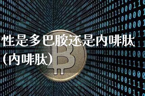 性是多巴胺还是内啡肽(内啡肽)_https://www.czytfl.com_期货走势_第1张