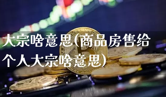 大宗啥意思(商品房售给个人大宗啥意思)_https://www.czytfl.com_期货价格_第1张