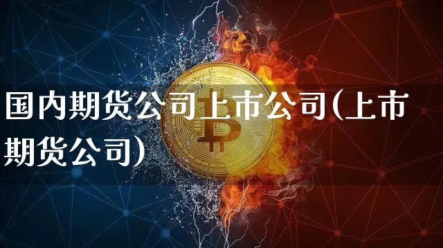 国内期货公司上市公司(上市 期货公司)_https://www.czytfl.com_期货交易_第1张