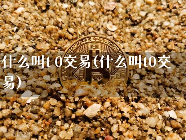 什么叫t 0交易(什么叫t0交易)_https://www.czytfl.com_期货走势_第1张