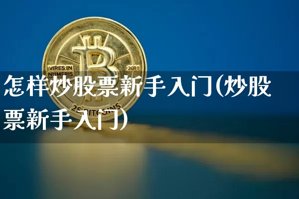 怎样炒股票新手入门(炒股票新手入门)_https://www.czytfl.com_期货走势_第1张