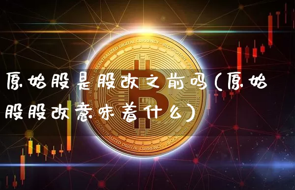 原始股是股改之前吗(原始股股改意味着什么)_https://www.czytfl.com_期货走势_第1张