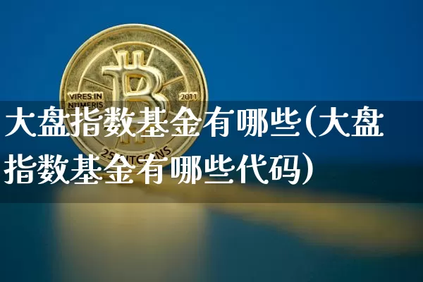 大盘指数基金有哪些(大盘指数基金有哪些代码)_https://www.czytfl.com_期货走势_第1张