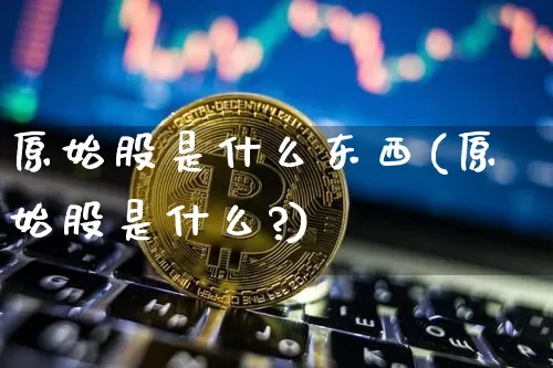 原始股是什么东西(原始股是什么?)_https://www.czytfl.com_期货行情_第1张