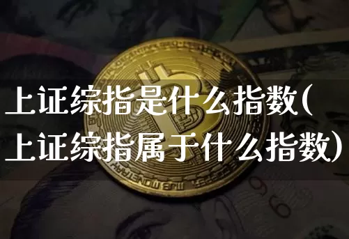 上证综指是什么指数(上证综指属于什么指数)_https://www.czytfl.com_期货行情_第1张