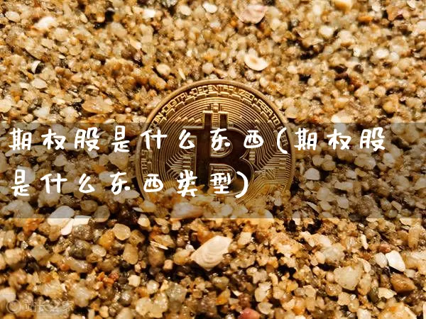 期权股是什么东西(期权股是什么东西类型)_https://www.czytfl.com_期货走势_第1张
