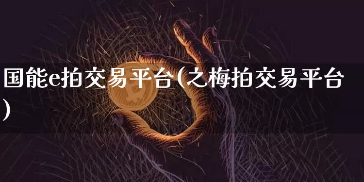 国能e拍交易平台(之梅拍交易平台)_https://www.czytfl.com_期货价格_第1张