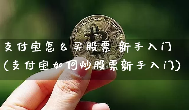 支付宝怎么买股票 新手入门(支付宝如何炒股票新手入门)_https://www.czytfl.com_期货走势_第1张
