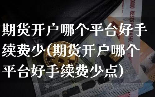 期货开户哪个平台好手续费少(期货开户哪个平台好手续费少点)_https://www.czytfl.com_期货行情_第1张