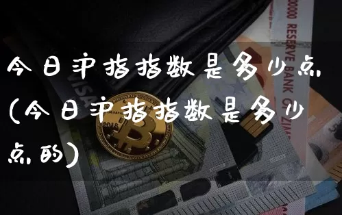 今日沪指指数是多少点(今日沪指指数是多少点的)_https://www.czytfl.com_期货走势_第1张