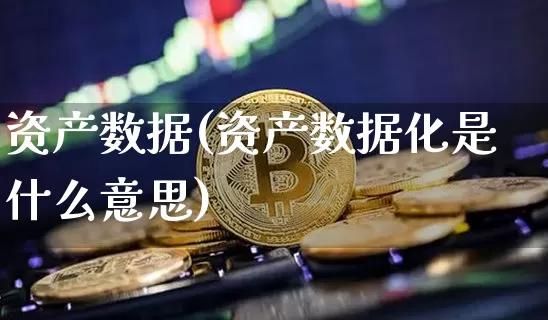 资产数据(资产数据化是什么意思)_https://www.czytfl.com_期货走势_第1张