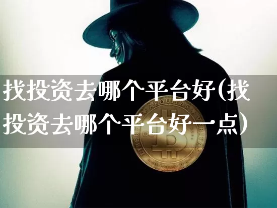 找投资去哪个平台好(找投资去哪个平台好一点)_https://www.czytfl.com_期货_第1张