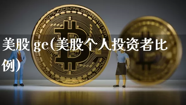 美股 ge(美股个人投资者比例)_https://www.czytfl.com_期货行情_第1张