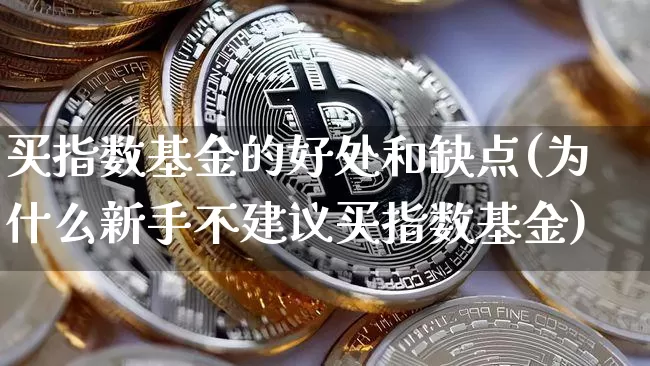 买指数基金的好处和缺点(为什么新手不建议买指数基金)_https://www.czytfl.com_期货_第1张