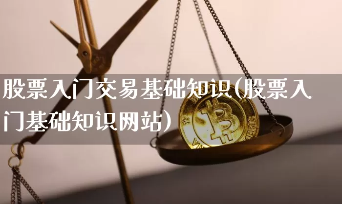 股票入门交易基础知识(股票入门基础知识网站)_https://www.czytfl.com_期货走势_第1张