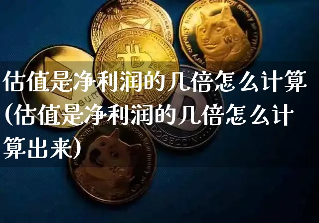 估值是净利润的几倍怎么计算(估值是净利润的几倍怎么计算出来)_https://www.czytfl.com_期货价格_第1张