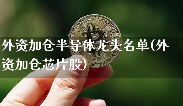 外资加仓半导体龙头名单(外资加仓芯片股)_https://www.czytfl.com_期货行情_第1张