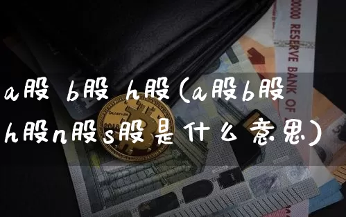 a股 b股 h股(a股b股h股n股s股是什么意思)_https://www.czytfl.com_期货走势_第1张