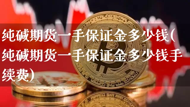 纯碱期货一手保证金多少钱(纯碱期货一手保证金多少钱手续费)_https://www.czytfl.com_期货_第1张