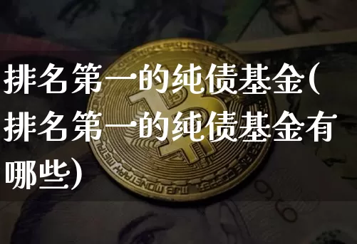 排名第一的纯债基金(排名第一的纯债基金有哪些)_https://www.czytfl.com_期货行情_第1张