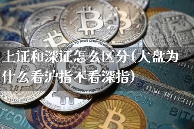 上证和深证怎么区分(大盘为什么看沪指不看深指)_https://www.czytfl.com_期货行情_第1张