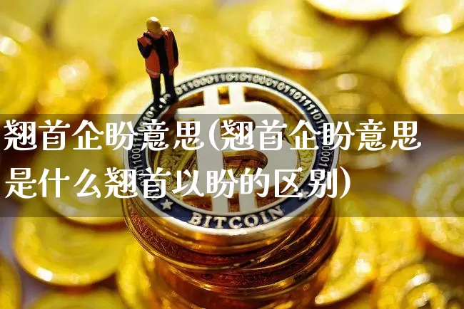 翘首企盼意思(翘首企盼意思是什么翘首以盼的区别)_https://www.czytfl.com_期货_第1张
