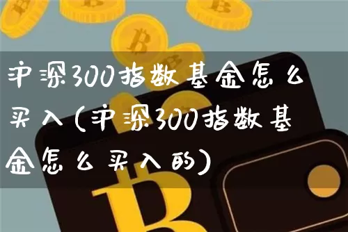 沪深300指数基金怎么买入(沪深300指数基金怎么买入的)_https://www.czytfl.com_期货_第1张