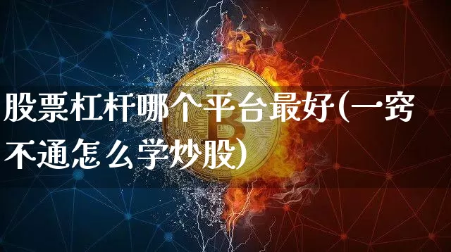 股票杠杆哪个平台最好(一窍不通怎么学炒股)_https://www.czytfl.com_期货价格_第1张