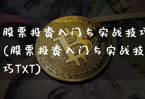 股票投资入门与实战技巧(股票投资入门与实战技巧TXT)_https://www.czytfl.com_期货行情_第1张