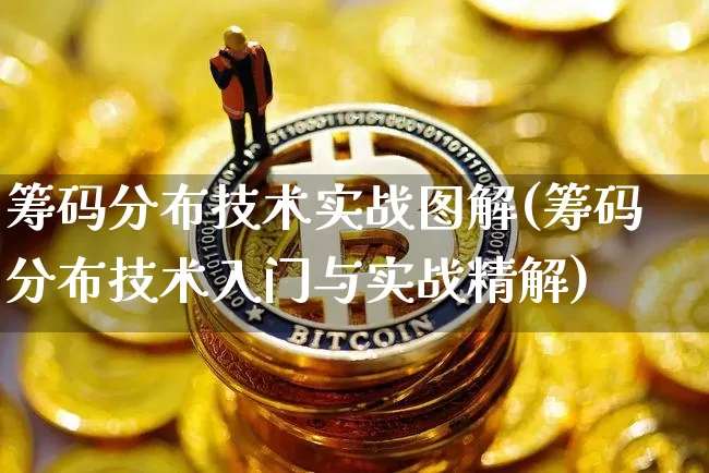 筹码分布技术实战图解(筹码分布技术入门与实战精解)_https://www.czytfl.com_期货走势_第1张