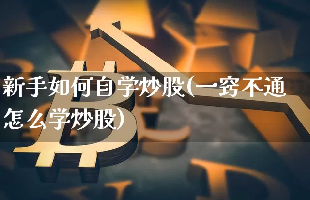 新手如何自学炒股(一窍不通怎么学炒股)_https://www.czytfl.com_期货_第1张