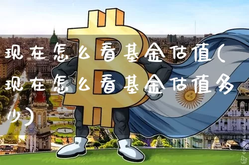 现在怎么看基金估值(现在怎么看基金估值多少)_https://www.czytfl.com_期货价格_第1张